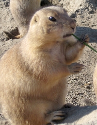 Does God exist?  It's an important question.