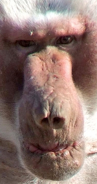 Christian apologetics and atheism